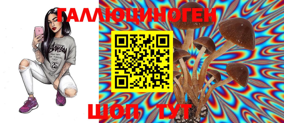 Галлюциногенные грибы мицелий  Вход с VPN  Отрадное 