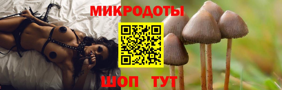 Псилоцибиновые грибы Psilocybe Отрадное